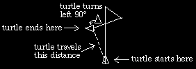 figure: turtlestate