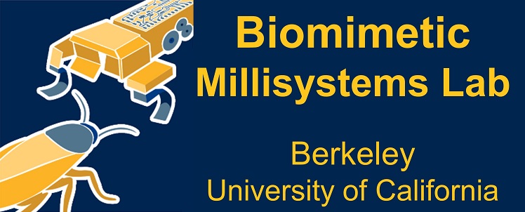 Biomimetic
      Millisystems Lab