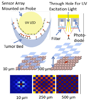 Intraoperative fluorescent imager