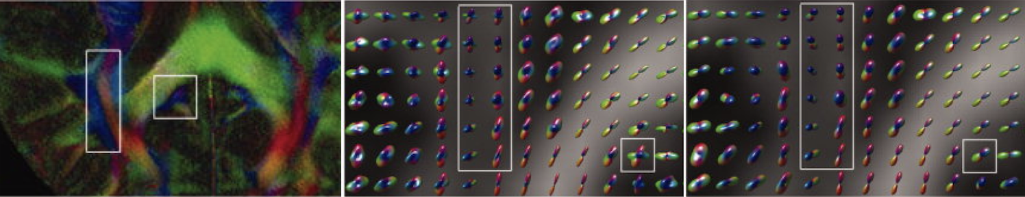 Higher Order
            Tensor Diffusion