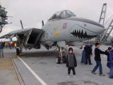 Hornet F16