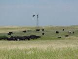 Nebraska Grasslands
