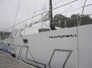 O'neill Cat