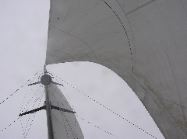 Oneill mast