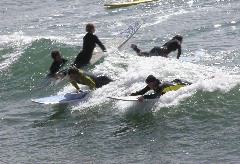 Surfers