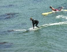 Zackary the Surfer Chick