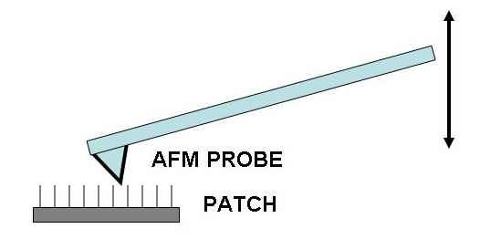 AFM probe test