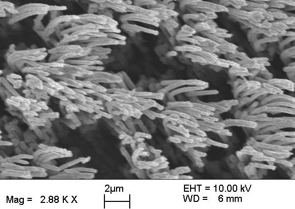 nickel nanowires 0.2 um by 10 um