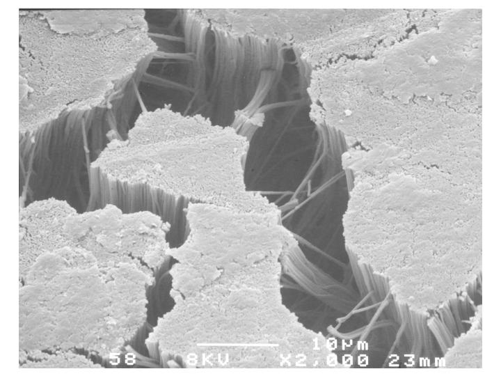 polyurethane nanofibers