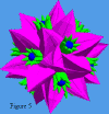 DC_FlowerF5.gif (21210 bytes)